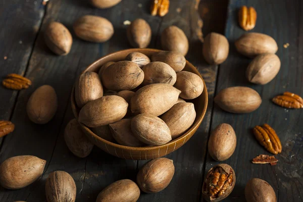 Ruwe organische gehele pecannoten — Stockfoto