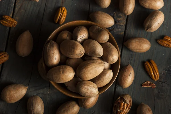 Raw Organic Whole Pecans — Stock Photo, Image