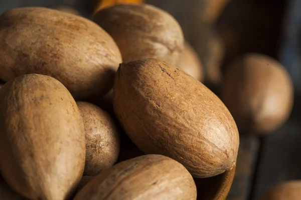 Seluruh Pecans Organik Mentah — Stok Foto