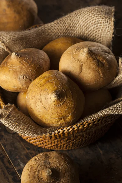 ham organik kahverengi jicama