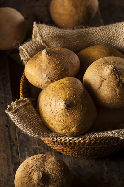 Jicama marrón orgánico crudo — Foto de Stock