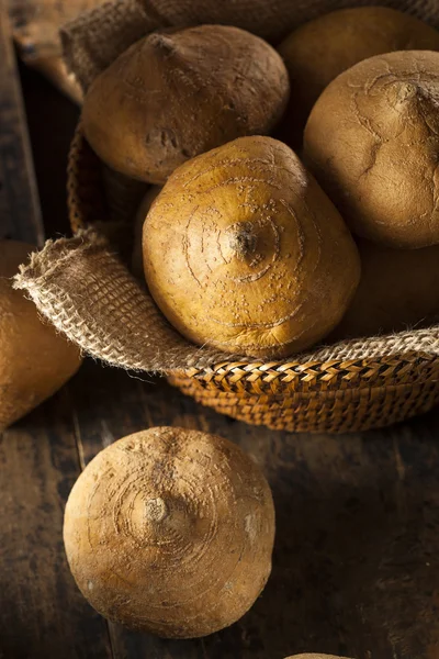 Jicama marrón orgánico crudo — Foto de Stock