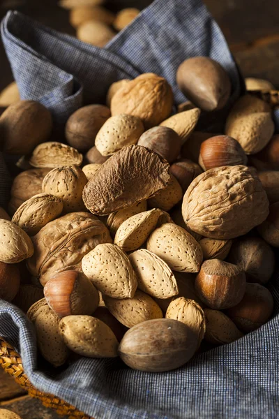 Sortiment celé syrové směsi ořechů — Stock fotografie