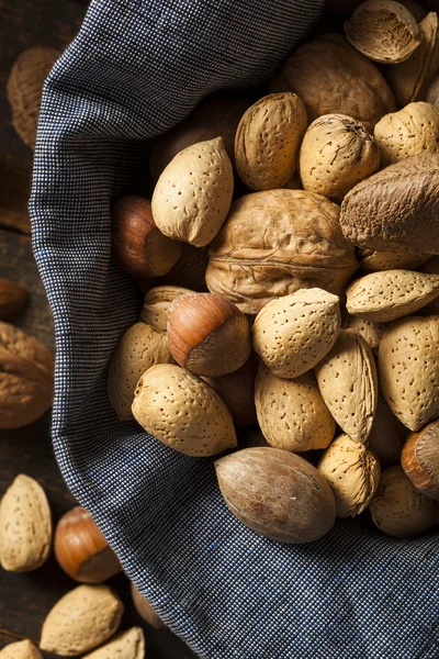 Sortiment celé syrové směsi ořechů — Stock fotografie
