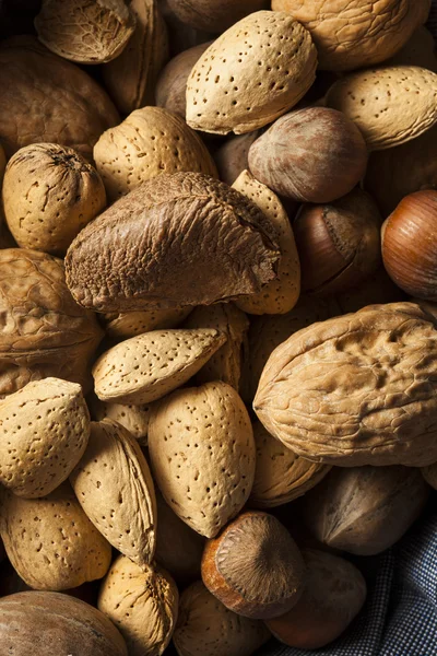 Assortment of Whole Raw Mixed Nuts — Stock Photo, Image