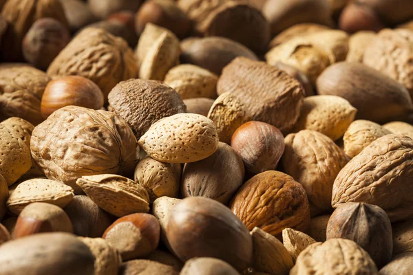 Assortment of Whole Raw Mixed Nuts — Stock Photo, Image