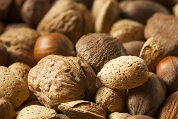 Assortment of Whole Raw Mixed Nuts — Stock Photo, Image