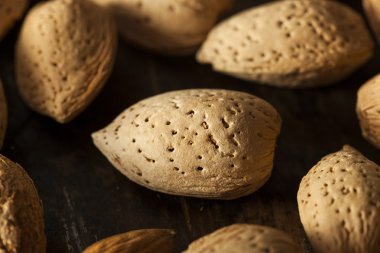 çiğ unshelled organik badem