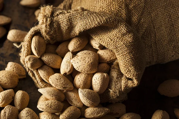 Raw Unshelled Organic Almonds — Stock Photo, Image