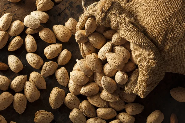 Almendras orgánicas crudas sin cáscara — Foto de Stock