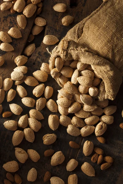 Raw Unshelled Organic Almonds — Stock Photo, Image