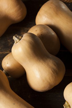 Ham organik Butternut Squash