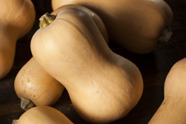 Ham organik Butternut Squash