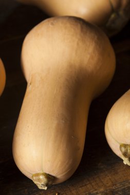 Ham organik Butternut Squash