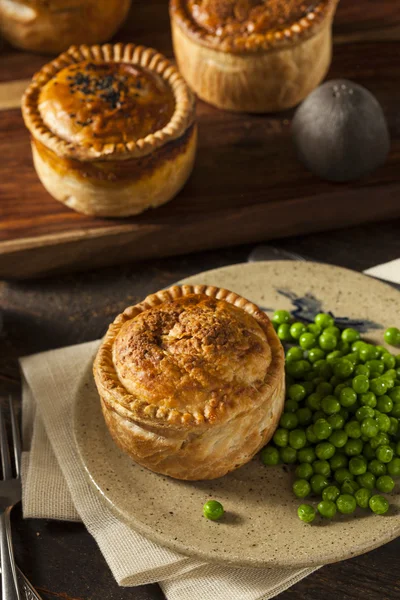 Zelfgemaakte kip pot pie — Stockfoto