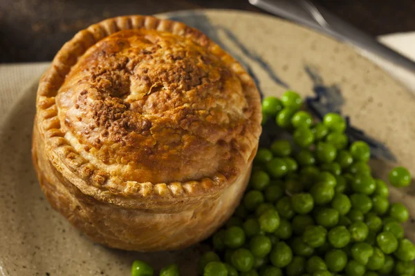 Zelfgemaakte kip pot pie — Stockfoto