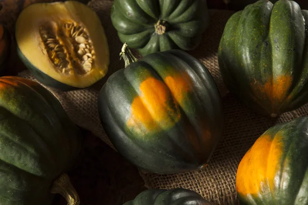 Råa ekologiska gröna Acorn Squash — Stockfoto