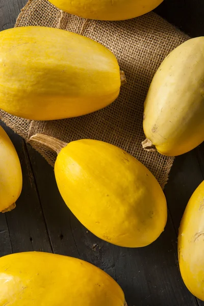 Ruwe organische gele Spaghetti Squash — Stockfoto