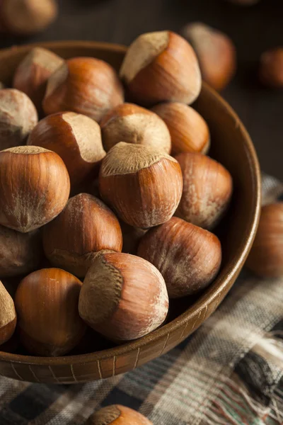 Raw Organic Whole Hazelnuts — Stock Photo, Image