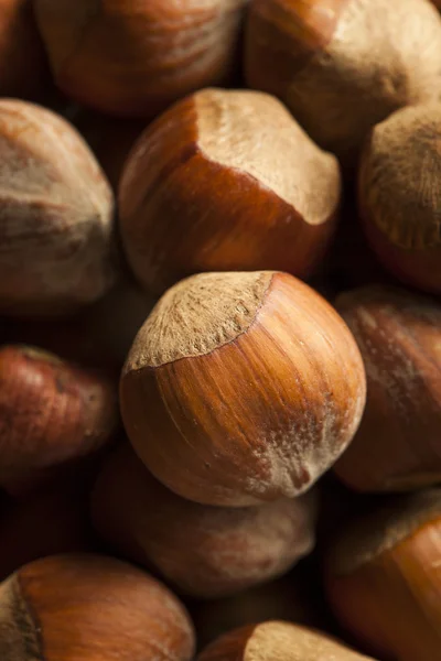 Raw Organic Whole Hazelnuts — Stock Photo, Image