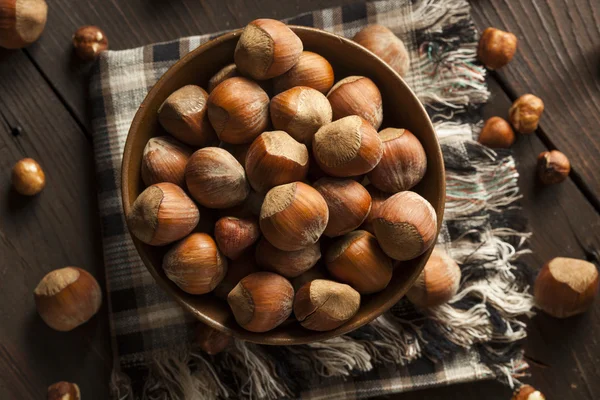 Vollrohe Bio-Haselnüsse — Stockfoto