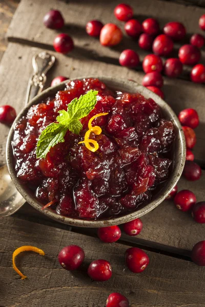 Molho de cranberry vermelho caseiro — Fotografia de Stock