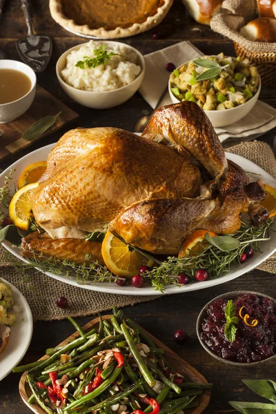Hele zelfgemaakte Thanksgiving Turkije — Stockfoto