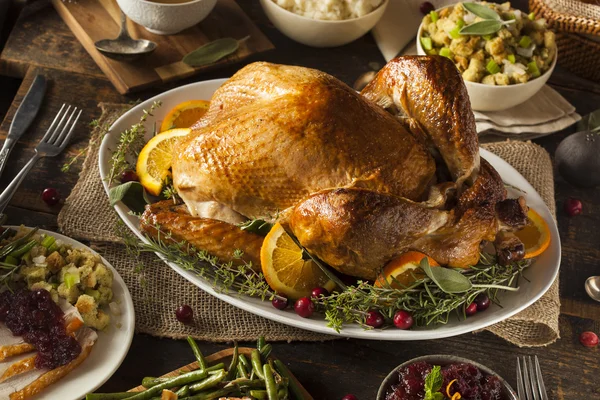 Todo el pavo hecho en casa de Acción de Gracias — Foto de Stock