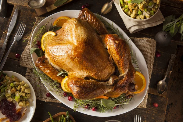 Hele zelfgemaakte Thanksgiving Turkije — Stockfoto