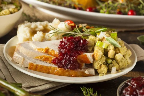 Hemgjord Thanksgiving kalkon på en tallrik — Stockfoto