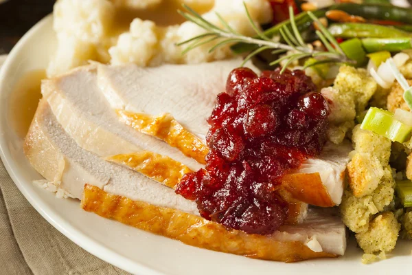 Pavo hecho en casa de Acción de Gracias en un plato — Foto de Stock