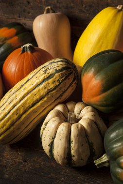 Organik çeşitli sonbahar Squash