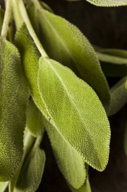 Ham yeşil organik adaçayı