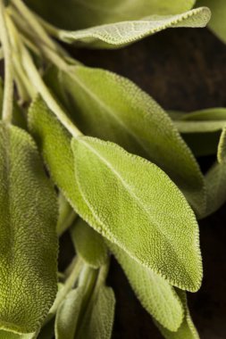 Ham yeşil organik adaçayı