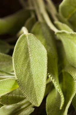 Ham yeşil organik adaçayı