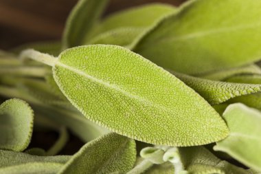 Ham yeşil organik adaçayı