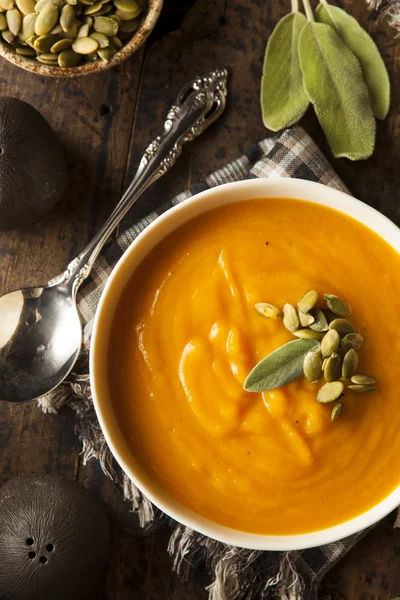 Sopa casera de calabaza de mantequilla de otoño — Foto de Stock