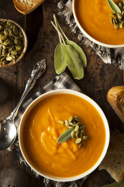 Sopa casera de calabaza de mantequilla de otoño — Foto de Stock