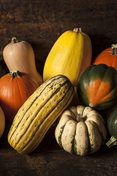 Orgânico Assorted Outono Squash — Fotografia de Stock