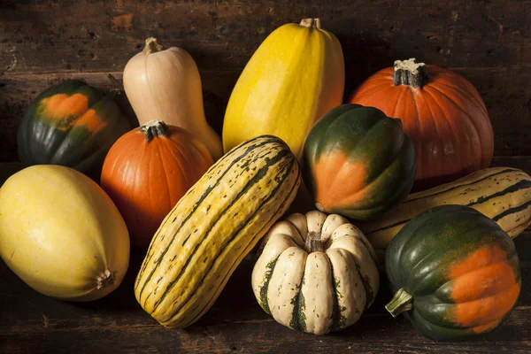 Orgânico Assorted Outono Squash — Fotografia de Stock