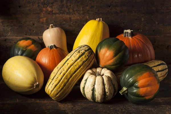 Orgânico Assorted Outono Squash — Fotografia de Stock