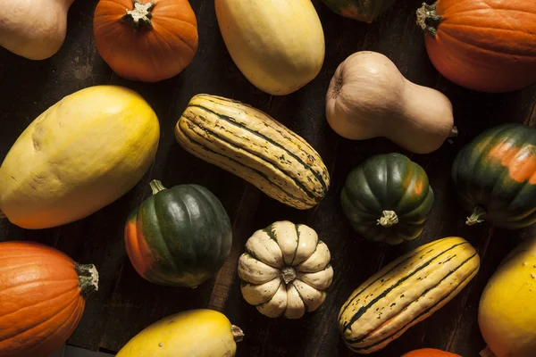 Courge d'automne assortie biologique — Photo