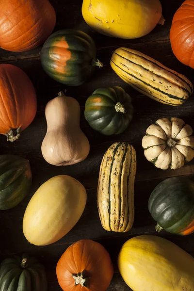 Zucca autunnale assortita biologica — Foto Stock