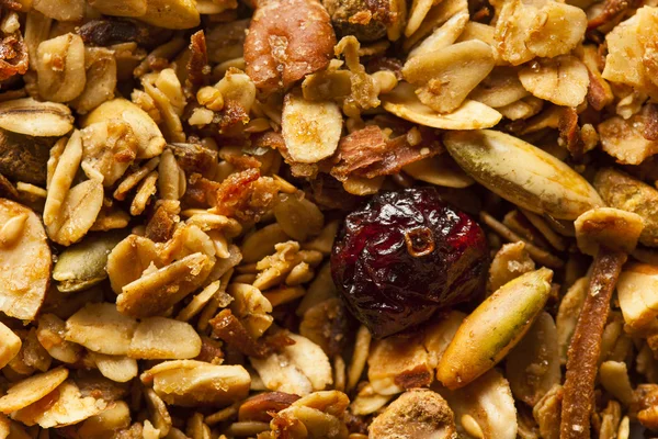 Saudável caseiro Granola com nozes — Fotografia de Stock