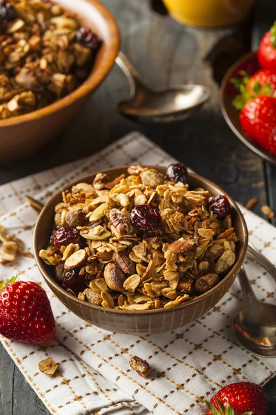 Saudável caseiro Granola com nozes — Fotografia de Stock