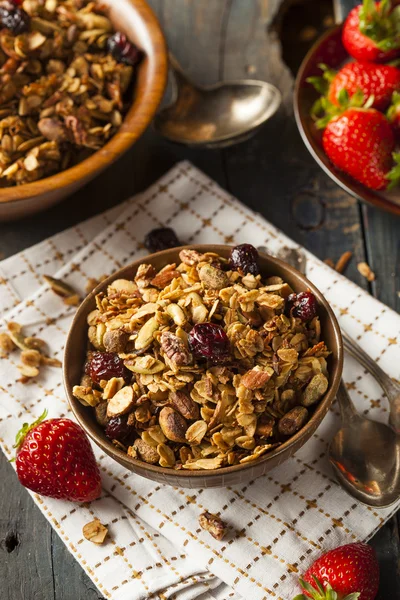 Healthy Homemade Granola with Nuts — Stock Photo, Image