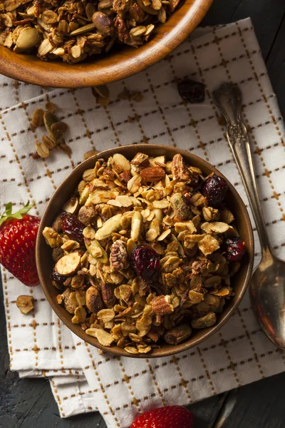 Saudável caseiro Granola com nozes — Fotografia de Stock