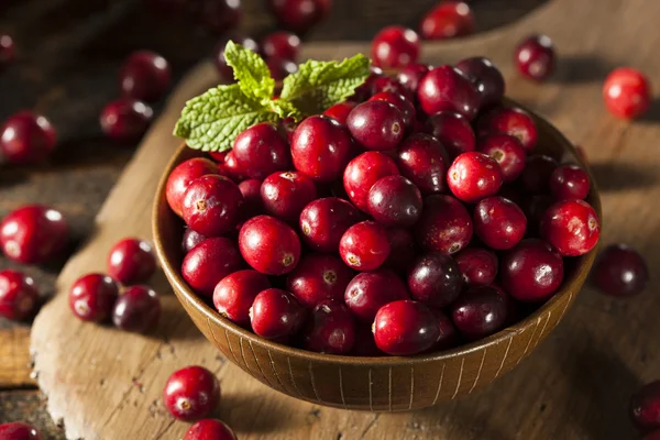 Cranberries vermelhas orgânicas em bruto — Fotografia de Stock