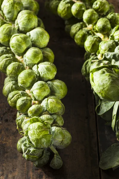 Raw Green Organic Brussel Sprouts — Stock Photo, Image
