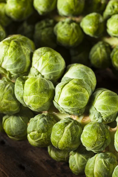 Rauwe groene organische Brussel spruiten — Stockfoto